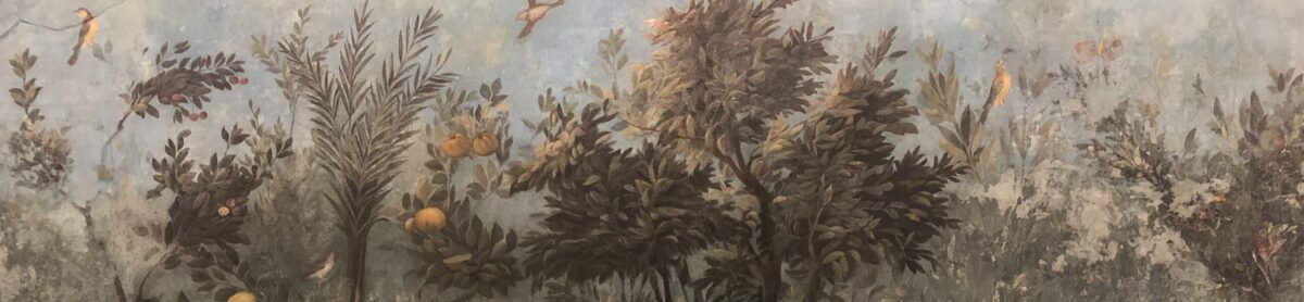 Författare Elin Boardy